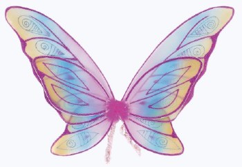 Glitter Rainbow Wings