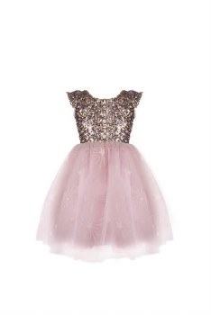A Star is Born Dress 5-6y