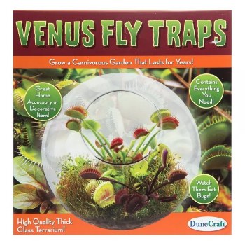 Flytrap Terrarium Kit