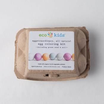 Eco-Eggs Coloring Kit