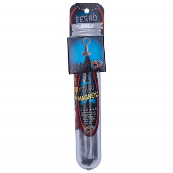 Ferromagnetic Test Tube