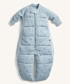 2.5 Tog Sleep Suit Dragonfly 2-4Y