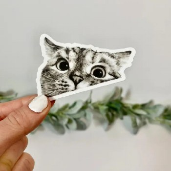 Peeking Cat