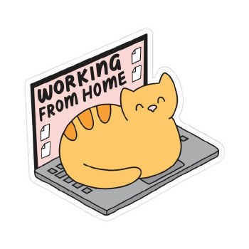 Working From Home
