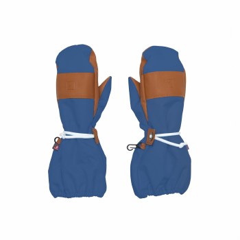 Mountain Blue Mitten Toddler