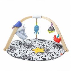 Ocean Easy Fold Play Gym