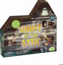 Ghost in the Attic