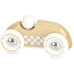 Mini Natural Rally Car