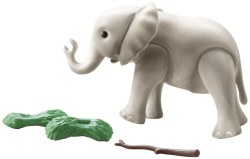 Young Elephant