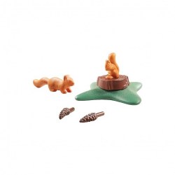 Squirrels