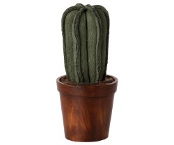 Flower Pot Cactus