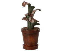 Flower Pot Plant
