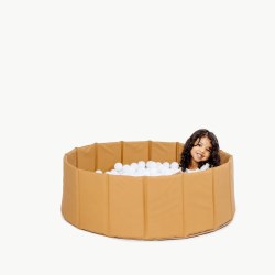 Ball Pit Camel