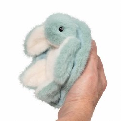 Lil' Baby Aqua Turtle