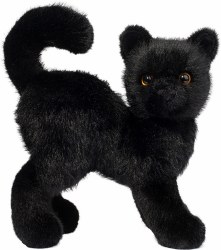 Scaredy Black Cat