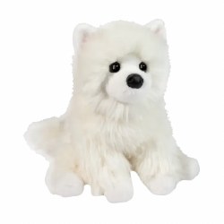 Opo White Pomeranian