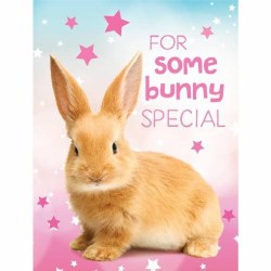 Bunny Gift Enclosure