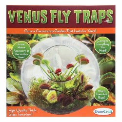 Flytrap Terrarium Kit