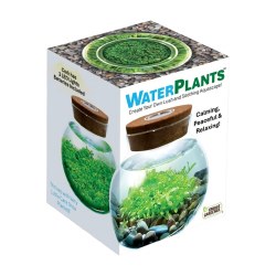 Waterplants Aquatic Terrarium