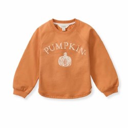Pumpkin Sweatshirt 5T