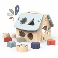 House Shape Sorter