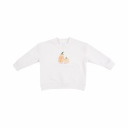 Little Pumpkin Sweatshirt 12-1