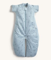 1 Tog Sleep Suit Dragonfly 2-4Y