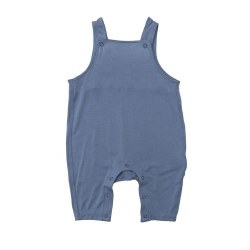 Painted Dinos Overalls 18-24m