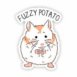 Fuzzy Potato