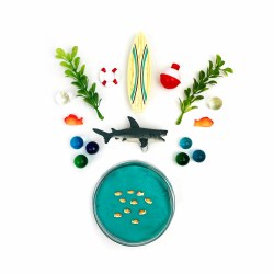 Shark Sensory Dough Kit