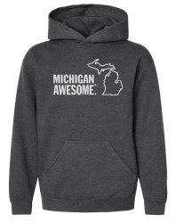 Michigan Awesome Hoodie Grey 6