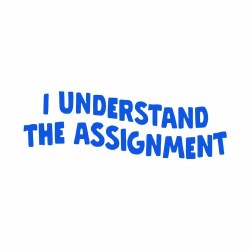 I Understand The Assignment