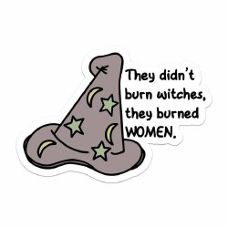 They Didn't Burn Witches They Burned Women