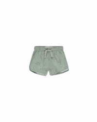 Swim Short Dino 2-3Y