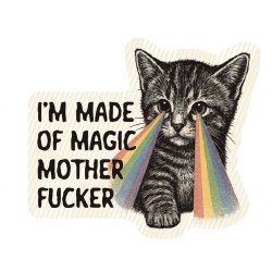Magic Kitty