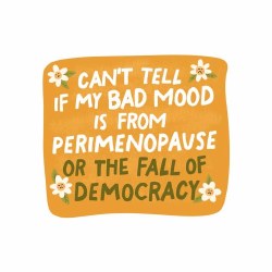 Perimenopause