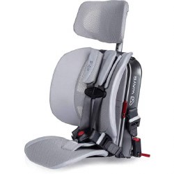 Pico Car Seat Slate