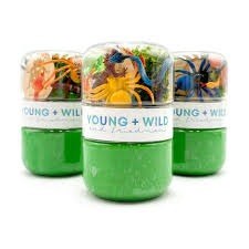 Grab & Go Dough Bugs