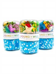 Grab & Go Dough Ocean