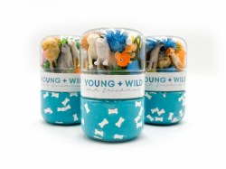 Grab & Go Dough Pet Shop