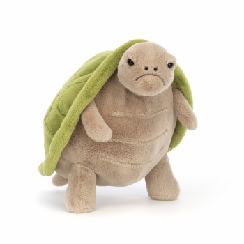 Timmy Turtle Big