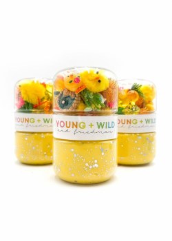 Grab &amp; Go Dough Fuzzy Chick