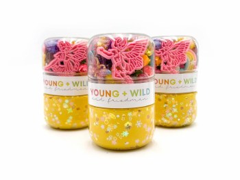 Grab &amp; Go Dough Magical Fairy