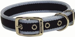 1x22 SkyBlue 3Stripe Collar