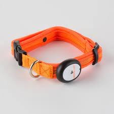 LED Collar Orange 13In