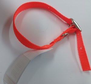 1/2x14 Nylon Collar NeonOrange