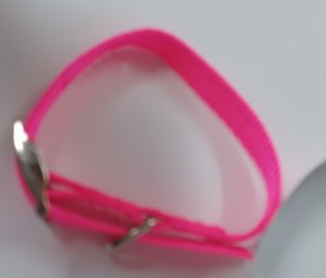 1/2x12 Nylon Collar Neon Pink