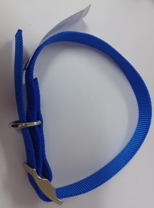 3/4x22 Nylon Collar Blue