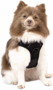 PetCraft Premium Dog Harness S