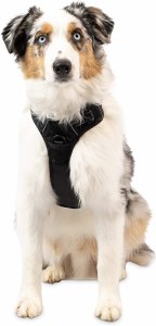 PetCraft Premium Dog Harness M